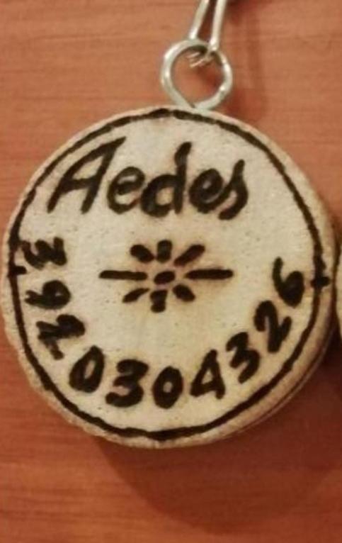 Gruppo Aedes Alghero, Residenza Michelangelo - 500 Mt Dalla Spiaggia Exterior foto